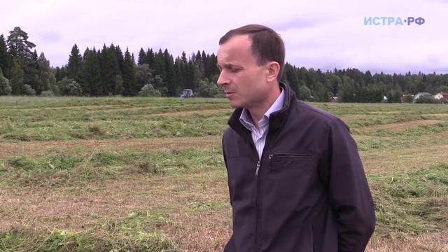 Сена не будет смотреть онлайн