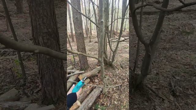 CPS1803BL смотреть онлайн