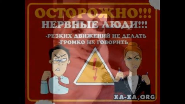 ТОП 16 СМЕШНЫХ ФОТО смотреть онлайн