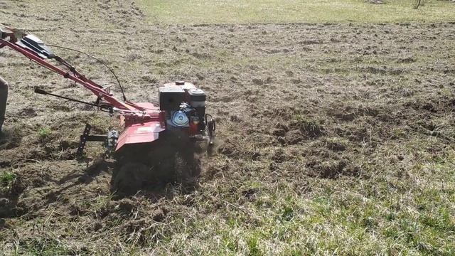 Весенняя, повторная обработка целины, мотоблоком Фермер. смотреть онлайн