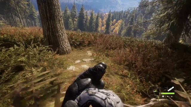 ? Beatty The Circle Route | Walkthrough Guide | The Hunter: Call of the Wild смотреть онлайн