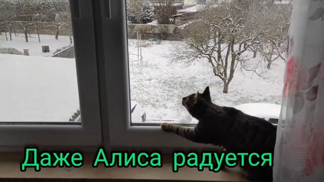 Первый снег всегда радует/ Снеговик/ Германия смотреть онлайн