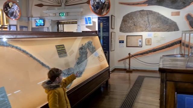 Whitby Museum & Pannett Park Video Tour. Discover Dinosaurs & Explore Whitby's Most Beautiful Park. смотреть онлайн