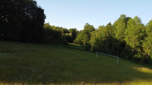 DJI Mini 2. Режим FPV смотреть онлайн