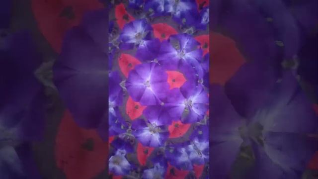 Мантра Солнцу смотреть онлайн