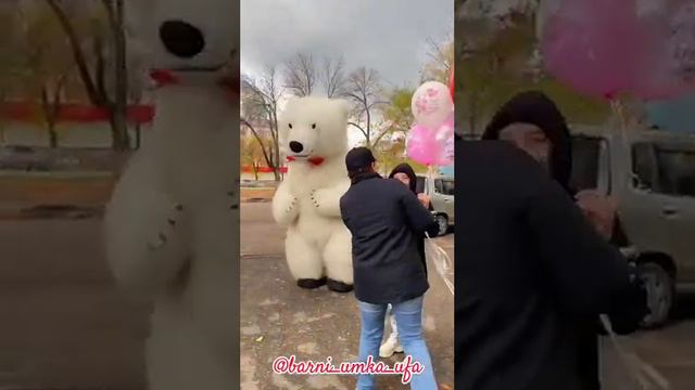Поздравление от большого мишки  для красавицы Карины🎊#белыймишкаумкауфа смотреть онлайн