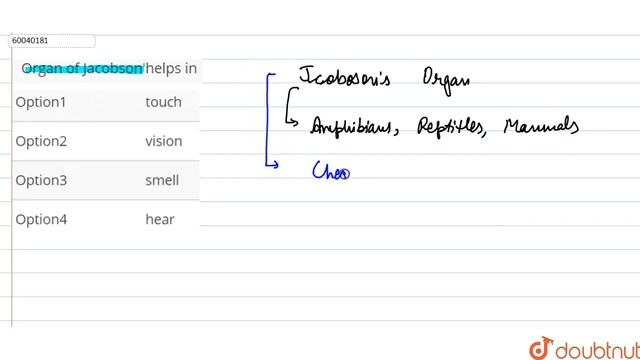 Organ of Jacobson'helps in | 11 | ANIMAL KINGDOM | BIOLOGY | PRADEEP | Doubtnut смотреть онлайн