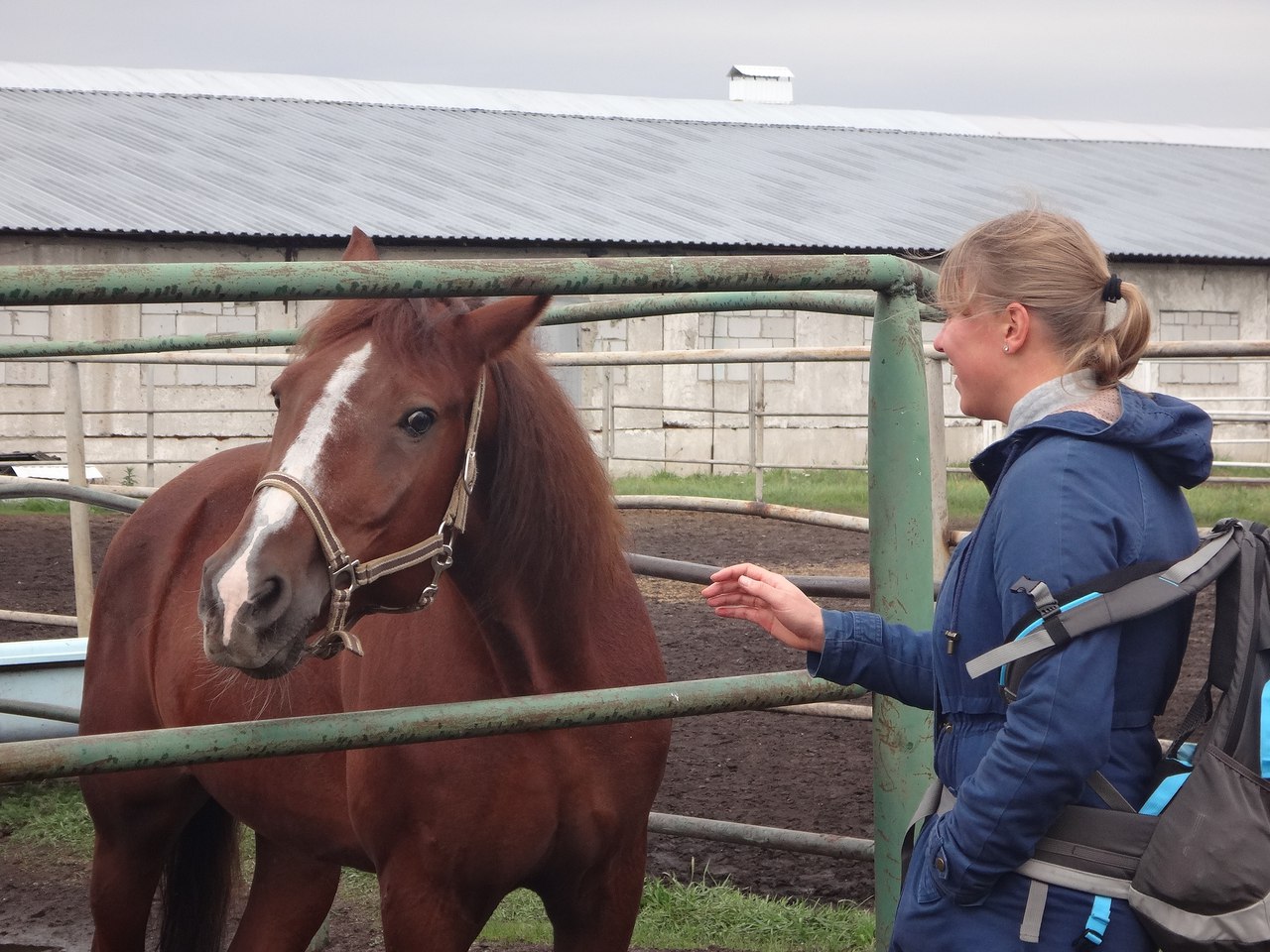 село Бабяково Воронежская область смотреть онлайн