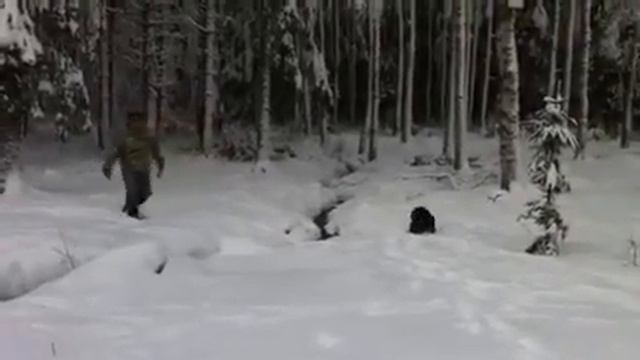 Sverker i snö/sneeuw 3 смотреть онлайн