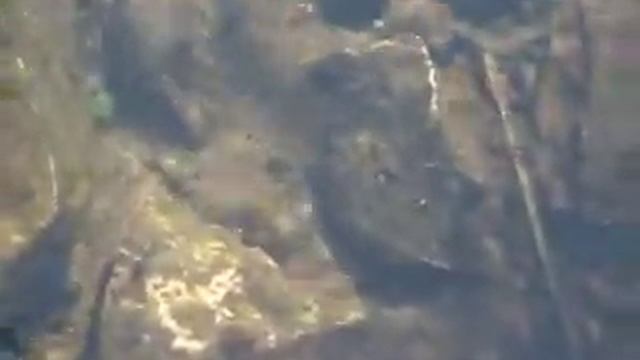 живая вода смотреть онлайн