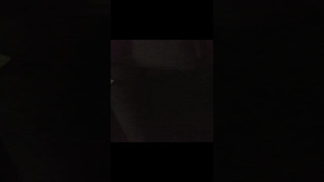 20230415_Омск. Колонка в ночи смотреть онлайн