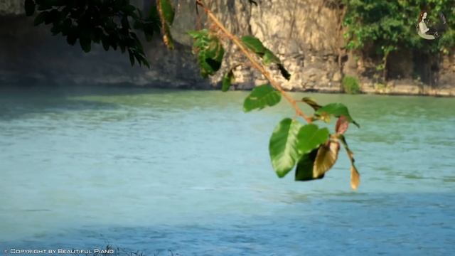 3 часа прекрасных песен о любви на фортепиано смотреть онлайн