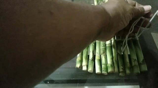 Tricks and tips in planting/gardening ideas/installation with Dracaena sanderiana/lucky bamboo no смотреть онлайн