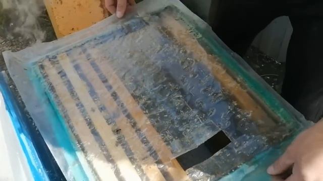 Что стало с проблемной пчелосемьёй и Как Подсилить пчелосемьи ранней весной. смотреть онлайн