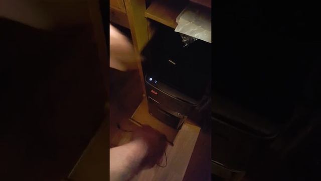 Sq11 camera brand new won't work смотреть онлайн
