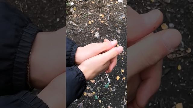 лайфхак как свистеть по пятницам смотреть онлайн