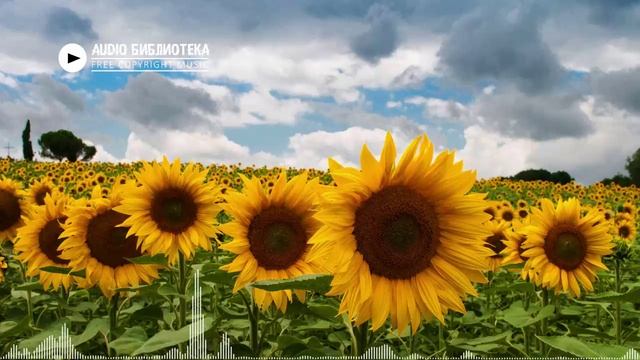 Greenery – Silent Partner (Музыка без авторских прав) смотреть онлайн