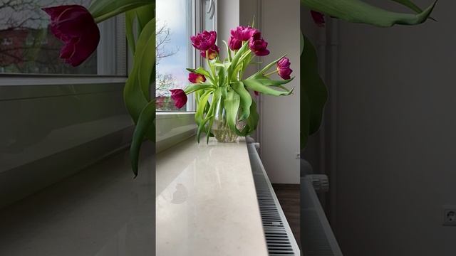 Всем хорошего настроения? смотреть онлайн