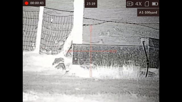 Hikmicro Alpex with DFK IR fox at 141 yds. смотреть онлайн