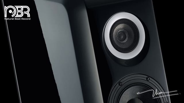 Hi-Res Audiophile Test Speaker - Greatest Audiophile 2024 - Natural Beat Records