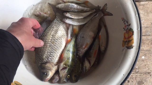 Пошёл я РЫБАЧИТЬ и как я борюсь с МЕДВЕДКОЙ смотреть онлайн