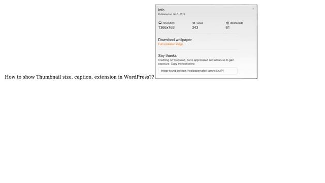 Wordpress: How to show Thumbnail size, caption, extension in WordPress? смотреть онлайн