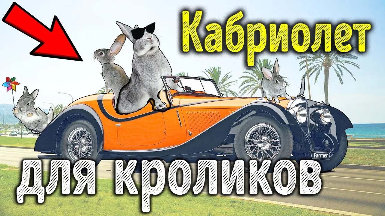 Маточник кабриолет для кроликов смотреть онлайн