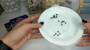 Как легко вырастить ГИБИСКУС из семян.  ТРАВЯНИСТЫЙ и ДРЕВОВИДНЫЙ.  Часть1. Посев.  Первые всходы.