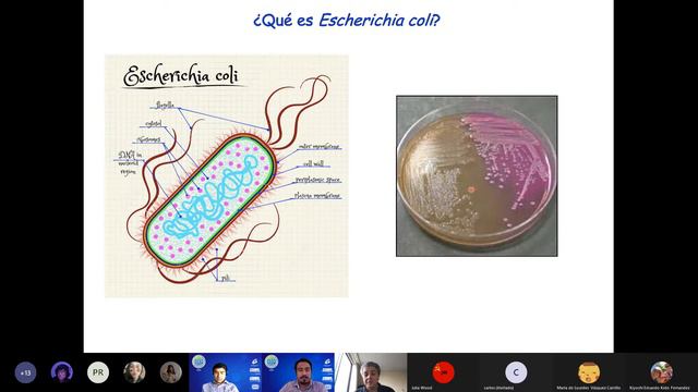 La doble personalidad de la bacteria Escherichia coli смотреть онлайн