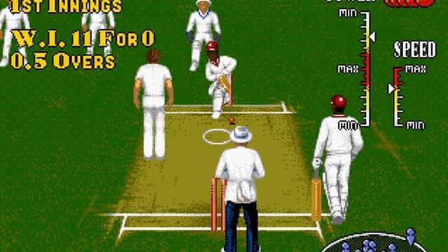Playing: Brian Lara Cricket смотреть онлайн