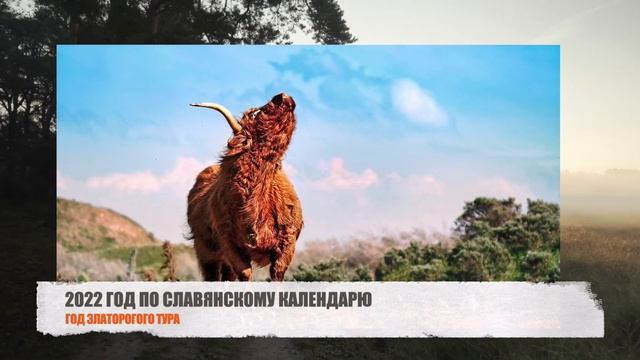 2022 год по славянскому гороскопу - год Златорогого Тура . Каким он будет и что ждать смотреть онлайн