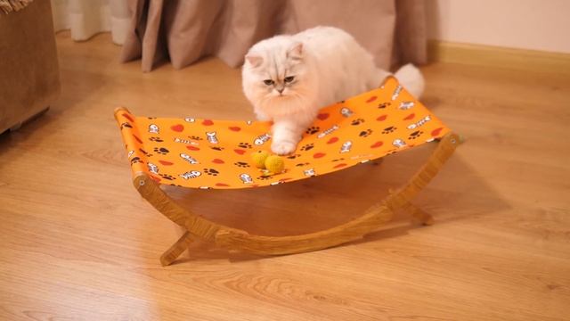 Качеля Гамак для вашого улюбленця смотреть онлайн