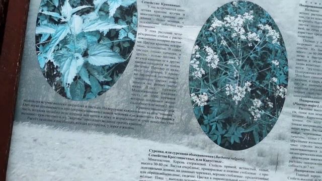 Поездка в Самарскую Луку смотреть онлайн