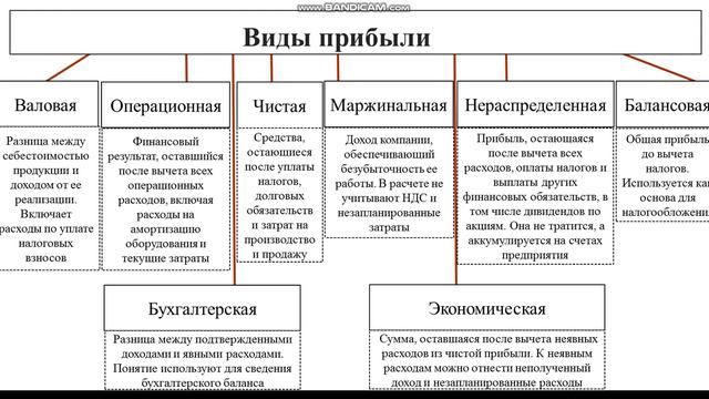 Оптимизация ресурсов организации - Прибыль. Понятие, виды