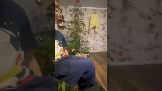 подделка на новый год #подпишись #новыйгод #новосибирск смотреть онлайн