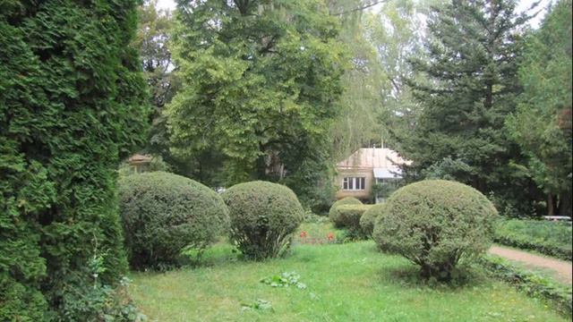 Stepanavan Dendropark смотреть онлайн