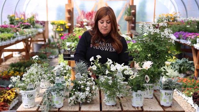 White Blooming Annuals for Our Moon Garden! ??✨// Garden Answer смотреть онлайн