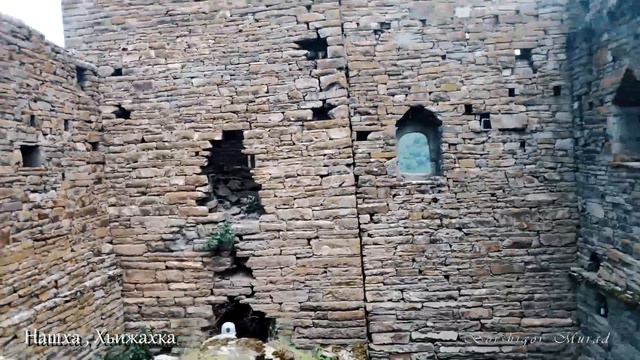 В Нашха после самоизоляции. Галанчажский район, Чеченской Республики. смотреть онлайн