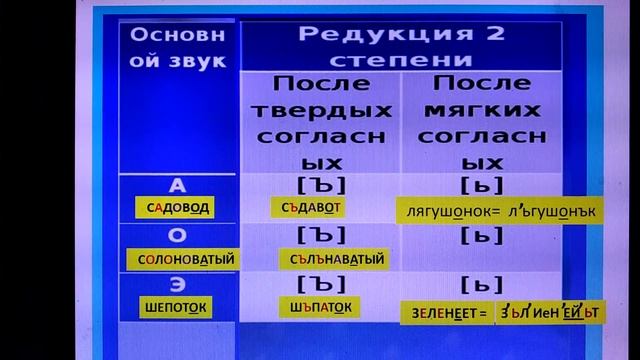 Редукция гласных смотреть онлайн