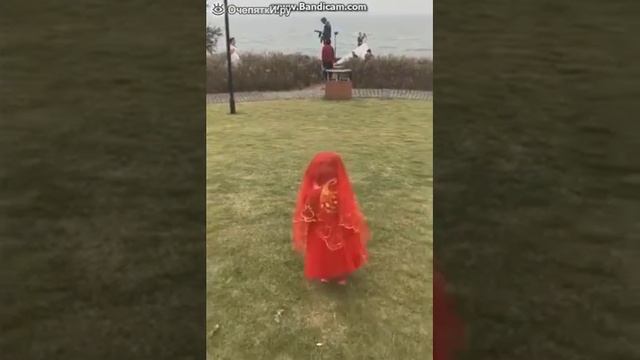 Пудель, который ходит на двух ногах смотреть онлайн