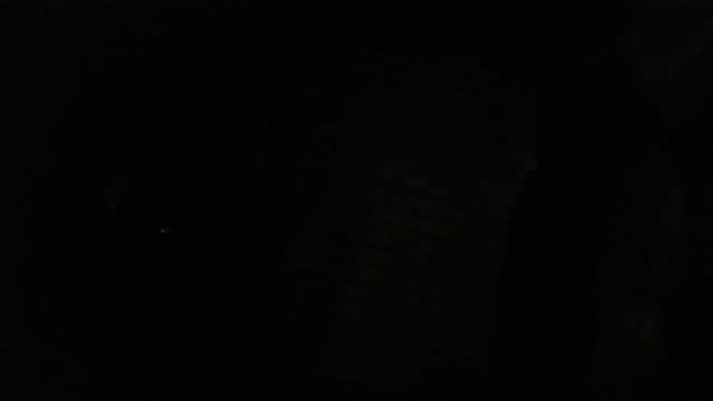 Алматински Музей Динозавров!! смотреть онлайн