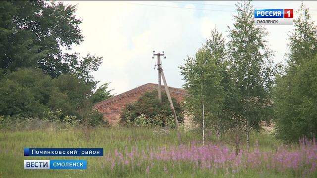 Бык убил человека. Обстоятельства гибели починковца изучают смоленские следователи смотреть онлайн