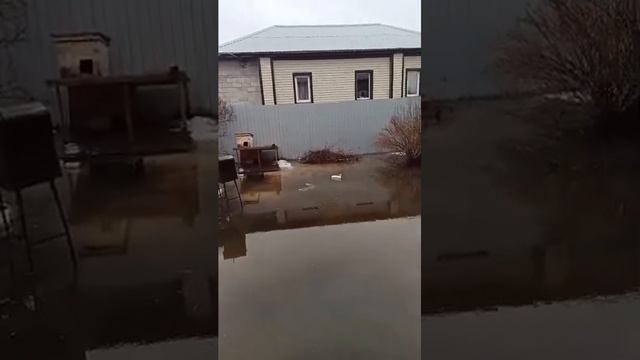 Требуется ремонт вольеров, будок, необходим строительный материал. смотреть онлайн