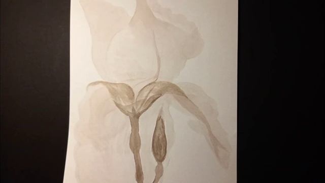 #Гризайль #Акварель #Живопись #Цветы Ирис смотреть онлайн