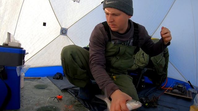 Рыбалка в Темиртау 2021!Лещара!Самардкандское водохранилище! смотреть онлайн
