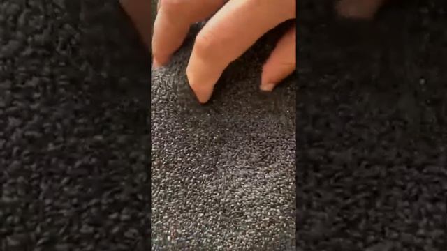 Basil Seeds Tukhm e Rehan смотреть онлайн