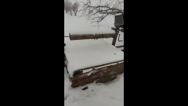 Мальская долина. 2 февраля 2019г. смотреть онлайн