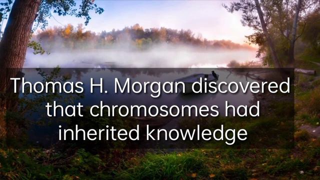 Psychological facts about human behaviour l mind blowing facts about human mind смотреть онлайн