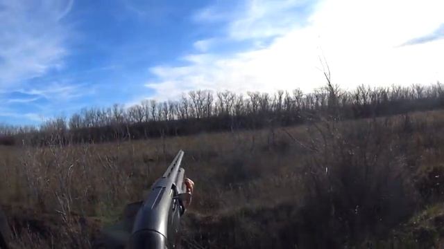 ОХОТА НА ЗАЙЦА ЧЕРНОТРОП СЕЗОН 2023-2024 смотреть онлайн