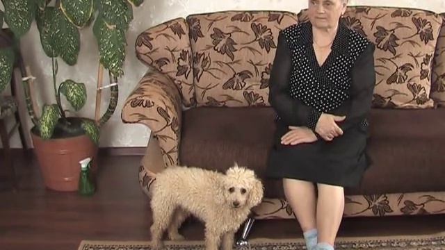 Равнецкое поселение.mpg смотреть онлайн